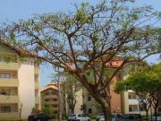 Apartamento: Edifício “Morada das Américas” Bairro: Jd...