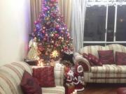 Apartamento em Alameda Barros Santa Cecília São Paulo/SP