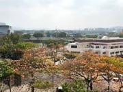 Apartamento em Barra da Tijuca, Rio de Janeiro/RJ de...