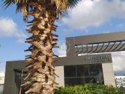 Apartamento em Bela Vista, Palhoça/SC de 46m² 2 quartos...