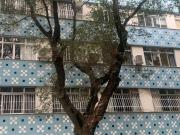 Apartamento em Icaraí, Niterói/RJ de 144m² 3 quartos à...