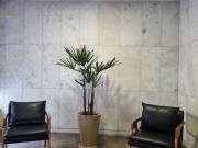Apartamento em Icaraí, Niterói/RJ de 97m² 2 quartos à...