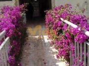 Apartamento em Jardim Roberto Osasco