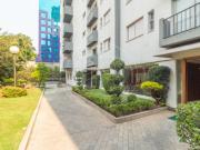 Apartamento em moema pássaros