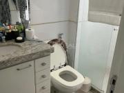 Apartamento em Parque Pelinca Campos dos Goytacazes