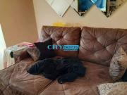 Apartamento em Picanço, Guarulhos/SP de 59m² 2 quartos à...