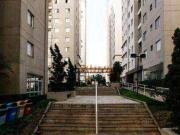 Apartamento em Ponte Grande, Guarulhos/SP de 63m² 3...