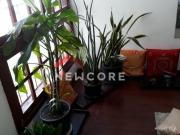 Apartamento em Rua Álvaro Chaves Centro Pelotas/RS