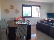 Apartamento em Rua das Camélias Cinqüentenário Caxias do...