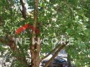 Apartamento em Rua Doutor Castro de Menezes Vila...