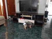 Apartamento em Rua Galiléia Jardim Santo André Santo...