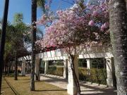 Apartamento em Santo Amaro São Paulo