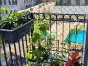 Apartamento em Saúde, São Paulo/SP de 60m² 2 quartos à...