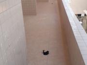 Apartamento em Vila Guilhermina, Praia Grande/SP de 61m²...