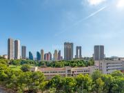 Apartamento en alquiler en Benidorm Alicante