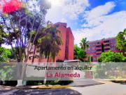 Apartamento en alquiler equipado en La Alameda