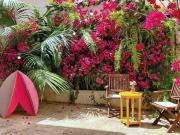 Apartamento en alquiler en Palma de Mallorca, Mallorca