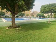 Apartamento en alquiler en Torrevieja, Torreblanca