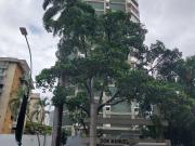 APARTAMENTO EN ALQUILER LOS PALOS GRANDES 200mts/4H+s/1B/2PE