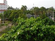 Apartamento en arriendo Calle 4 3 116, Bocagrande,...