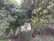 Apartamento en Arriendo, Castropol, Medellín