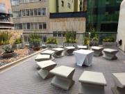 Apartamento en Arriendo, CENTRO LAS NIEVES Centro y Zona...