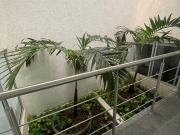 Apartamento en arriendo Cristóbal Colón, Sur