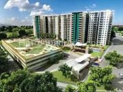 Apartamento en Arriendo, el poblado, Ibagué