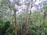 Apartamento en Arriendo, El Tesoro, Medellín