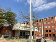 apartamento en arriendo en alameda del rio. Cod A107222