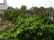 apartamento en arriendo en bocagrande. Cod A91138