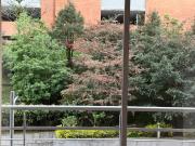 Apartamento En Arriendo En Bogota En. A262984