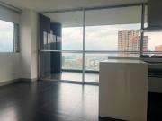 Apartamento en Arriendo en Castillo, Poblado Medellin...