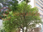 Apartamento En Arriendo En Cucuta En Caobos A317631