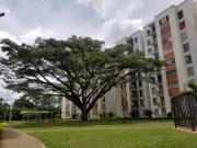 Apartamento EN ARRIENDO EN Jamundí EN Naranjos 77460...