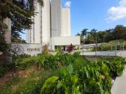 apartamento en arriendo en pance. Cod A124873