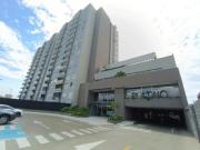 Apartamento en Arriendo en Valle del Lili, Cali