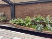 Apartamento en Arriendo, LA CALLEJA COUNTRY Country,...