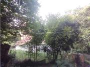 Apartamento en Arriendo, La Frontera, Medellín