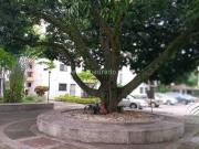 Apartamento en Arriendo, LA HACIENDA Sur, Cali