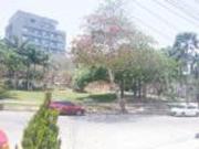 Apartamento en arriendo Los Alpes, Localidad Norte...