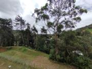 Apartamento en Arriendo, Sajonia, Rionegro