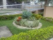 Apartamento en Arriendo, san francisco aparco, Ibagué