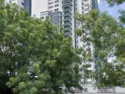 Apartamento en arriendo Tamacá Conjunto Residencial,...