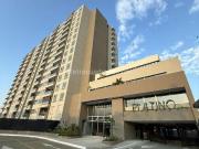 Apartamento en Arriendo, Valle Del Lili, Cali