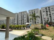 Apartamento en obra gris: personalízalo a tu medida