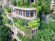 Apartamento en Renta en el Campestre