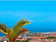 Apartamento en Venta en Adeje Santa Cruz de Tenerife