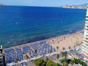 Apartamento en venta en Alicante Alicante Apartamento en venta en Alicante Alicante