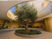 Apartamento en Venta en Benidorm, Alicante